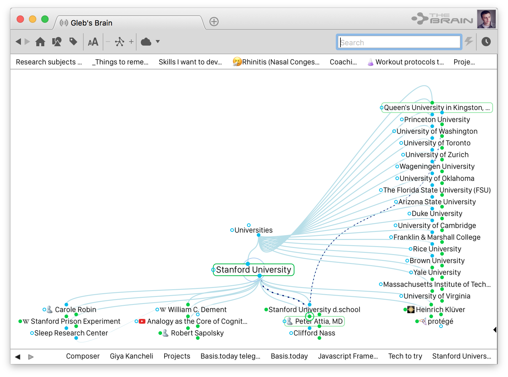 Скриншот из программы TheBrain