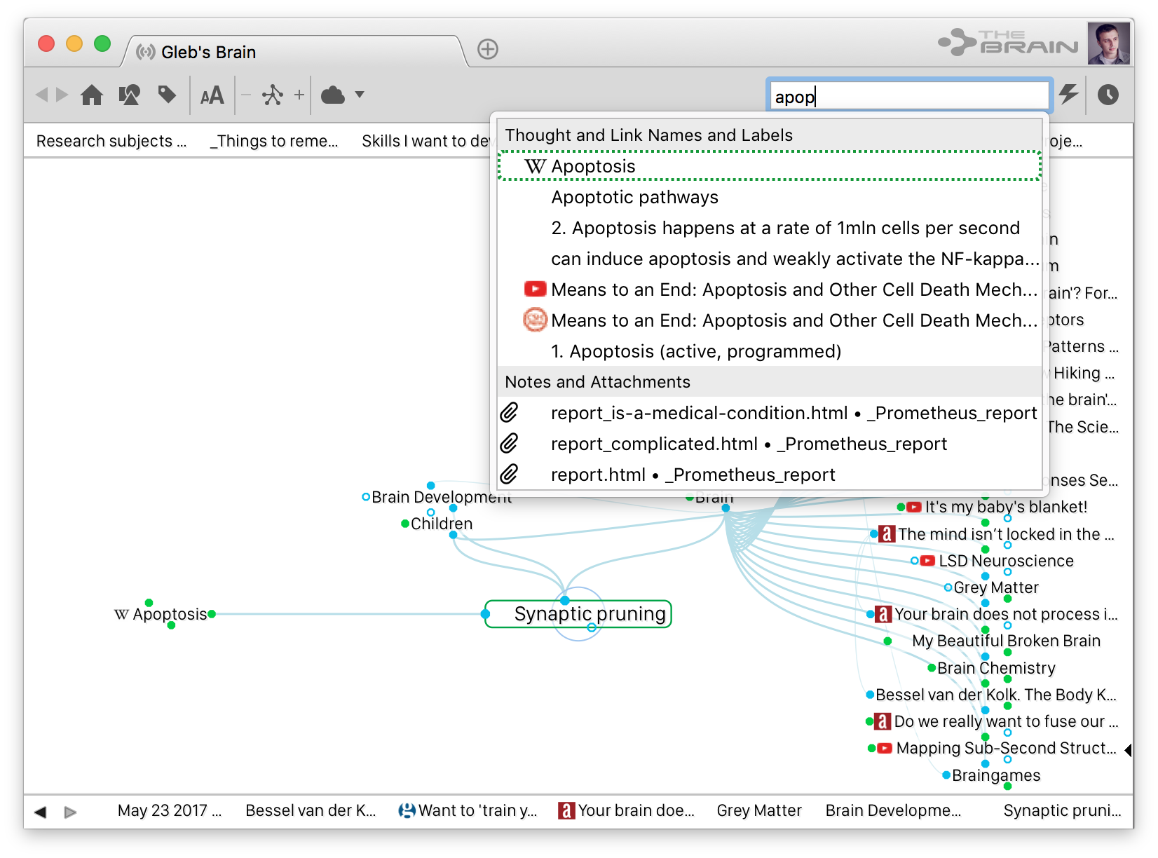 Скриншот из программы TheBrain