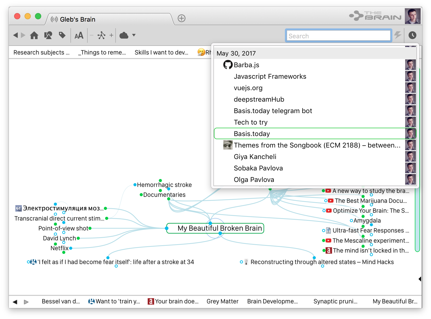 Скриншот из программы TheBrain